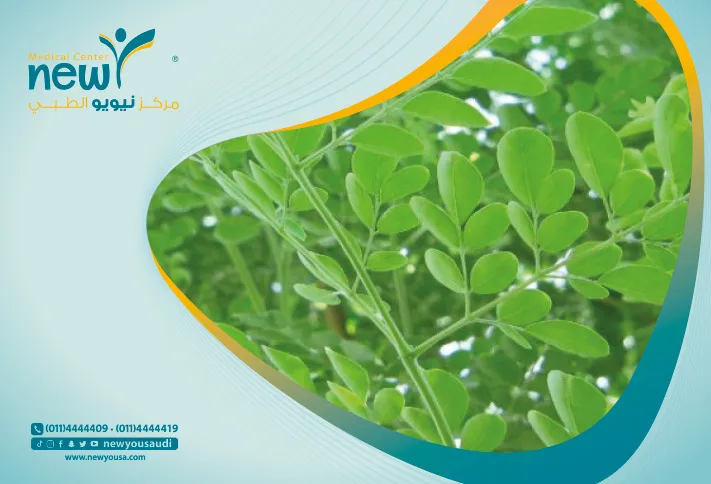 المورينجا كل ما تريد معرفته عنها من خلال مركزنا الطبي في السعودية | نيويو