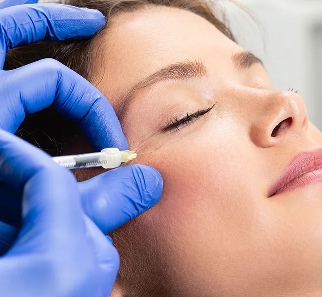 الصفحة الرئيسية - introduction